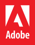 adobe